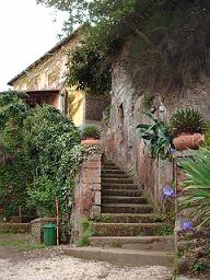 Agriturismo Bed & Breakfast Tuscia - Viterbo e Allevamento di Pastori Tedeschi - Tel. 338.816.02.64